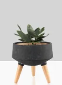 10.25in Tall Breakers Black Ceramic Planter With Beech Wood Legs