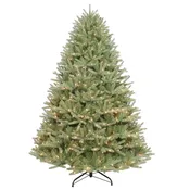 7.5′ Grand Washington Valley Spruce