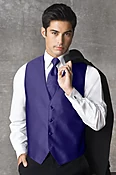 Synergy Purple Storm Vest