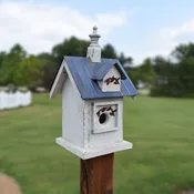 The Feathered Homestead