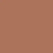 Arizona Clay DET 454