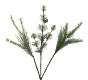 #03140GRN – 18″ Novelty Pine – 3 Styles (Dozen per Pack)