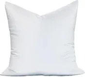 24" x 24" pillow Form