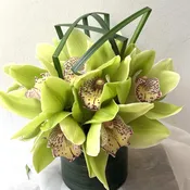 Orchid Love