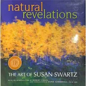 Natural Revelations — Susan Swartz Studios