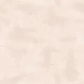 Fabric Riley Blake Shabby Latte C605R-LATTE