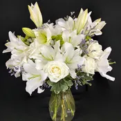 An Abundance of White