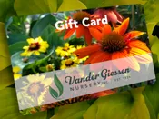 Vander Giessen Nursery Gift Card