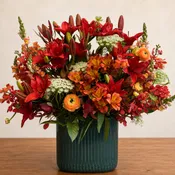 Fiery Elegance