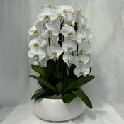 16″ Cascading Orchid Round Bowl