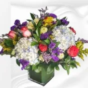 Colorful Mix FS11
