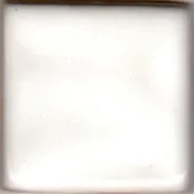 023 - White