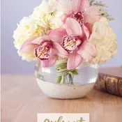 HEAVENLY ORCHID
