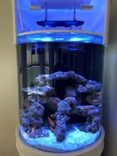 115 Gallon 3/4 Cylinder Glass Reef-Ready Aquarium Set in Tulum White