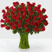 Fifty Long Stem Red Roses - GLASS VASE INCLUDED