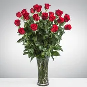 2 Dozen Long Stemmed Roses