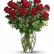 Dozen Long Stemmed Red Roses