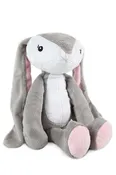 Adventure Pal – Bethany Bunny
