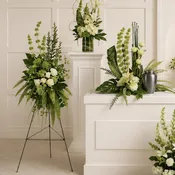 Tranquil Peace Collection