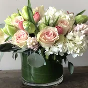 Blush Beauty