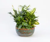 10in Ceramic Garden