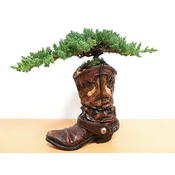 Cowboy Boot Large With Bonsai Tree