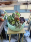 succulents shop san diego — Thistle Floral