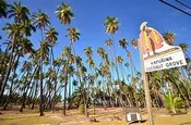 Cultural Tour Molokai - Weaving &amp; Stewardship - all things Coconut!