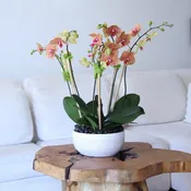 J'adore