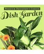 LUSH DISH GARDEN