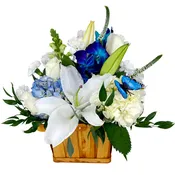 BABY PICNIC BLUE