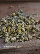 Chamomile Calm — White Pine and Petals  Flowers, Weddings, Plants and Gifts Roscommon Higgins Lake