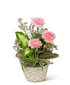 DISH GARDEN WITH PINK FLORALS