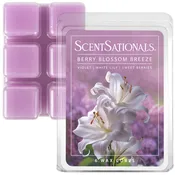 Berry Blossom Breeze - 2.5 oz