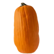 ZEPPELIN 18"H
