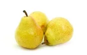 BARTLETT Pear (bare root)