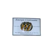 55h+ Hair Energie Croissante 0.33Floz