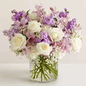 Luxury - Loving Sentiments Lavender and White