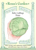 Baby Cabbage - Pixie