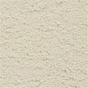 Fabrica Coconut Plush Saxony Carpet