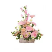 BASKET OF CHEER