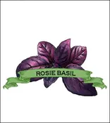 Basil Seed. Organic Rosie. Pkt.