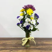 Sunshine and Daisies Mixed Daisies in a Vase