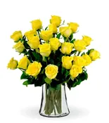 12 Yellow Long Stem Roses