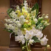 Celebration of Life