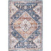 Addison Transitional Faded Medallion Fringe Area Rug