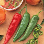 Pepper, Hot, Garden Salsa Hybrid