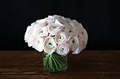 blush pink ranunculus — MICHAEL GEORGE