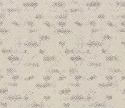 Anderson Tuftex Carpet Evoke Canvas 00102_ZZ326