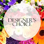 Designer's Choice